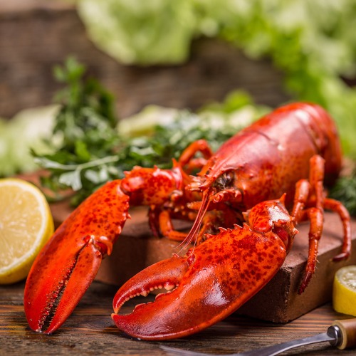 Live lobster on a wood and brick scene with lemons