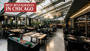 Best restaurants in Chicago banner